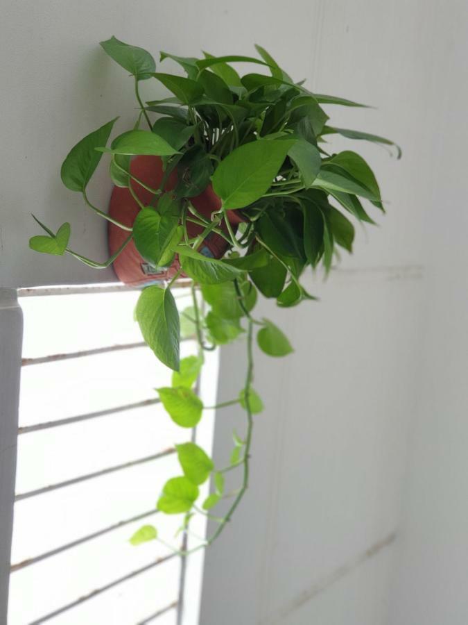 T P House 3 Apartment Son Tra Екстериор снимка